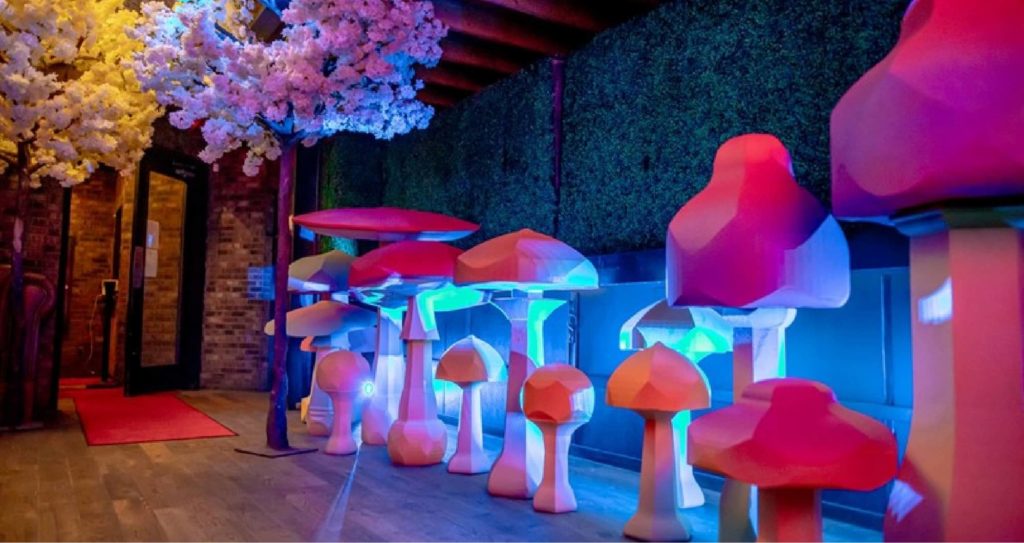 An installation of mushroom sculptures in a building.