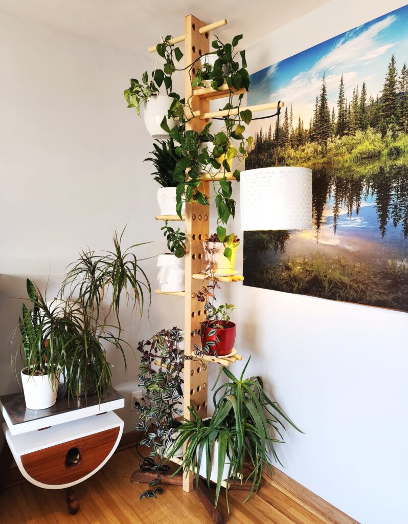 A photo of a plant stand.